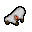 dead sheep