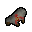 dead sheep